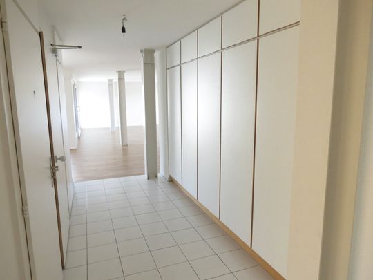 Magnifique attique 5,5 pièces de 190 m² ! - Foto 1