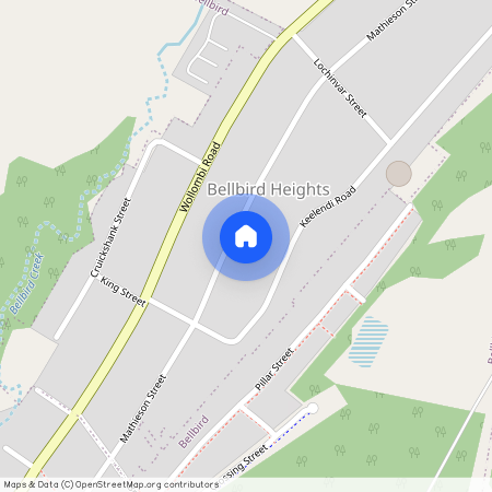 163 Mathieson Street, NSW 2325, Bellbird Heights