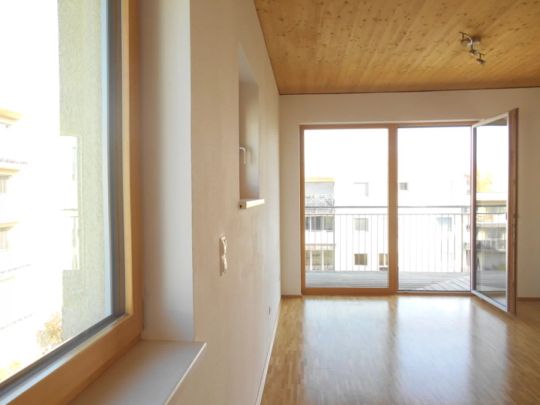 Peter Rosegger sonnige 3ZI mit Balkon, ruhig, ökologisch, familienfreundlich - Photo 1