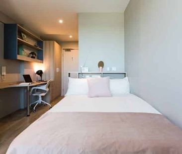 Bronze Studio - Photo 4