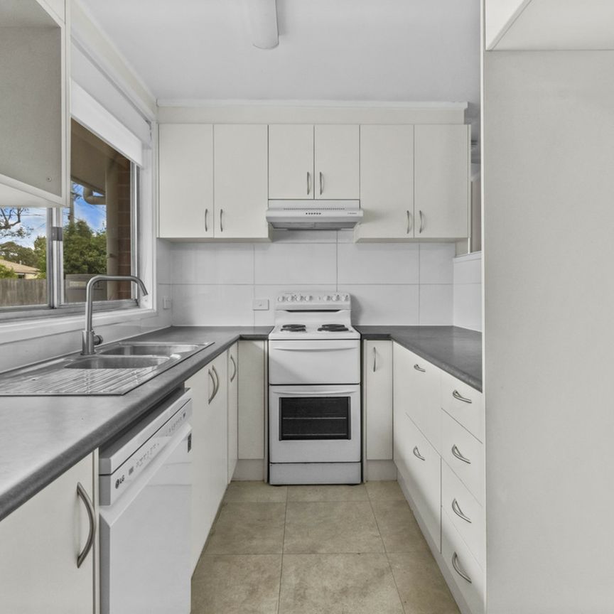 Home with Ample Outdoor Space! - Photo 1