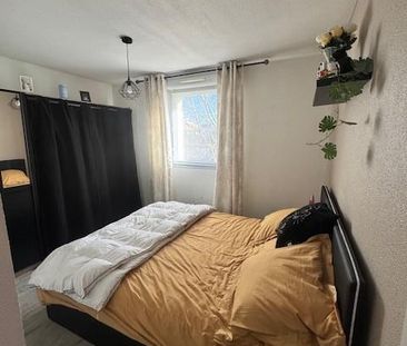 Location Appartement 2 pièces 47m² SOMAIN 59490 - Photo 4