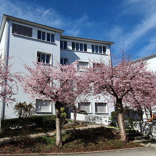 Attika-Traum im Zentrum von Wil mit riesiger Terrasse - Photo 1