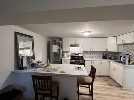 For Lease - 105 Mill Street Unit# Lower, Shelburne, Ontario - Photo 3