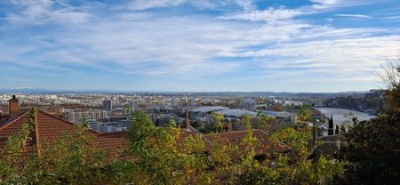 Location Appartement 1 pièce 39m² LYON 5ème - Photo 3