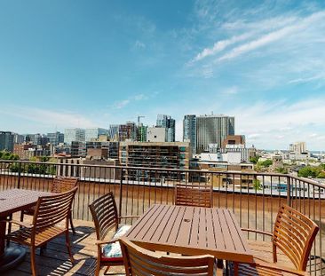 218 Maclaren Street, Centretown, Ottawa, ON - Photo 4
