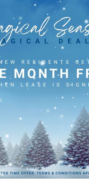 The Lauren - Photo 1