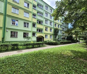 2-pokojowe mieszkanie, osobna kuchnia, centrum 44.1 m² - Фото 4