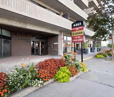 The Portneuf Apartments - 1 Bedroom - Photo 5