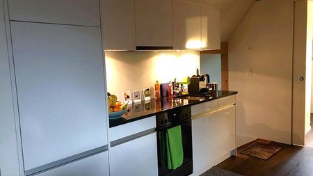 1 Zimmer-Wohnung in Luzern, möbliert, auf Zeit - Foto 3