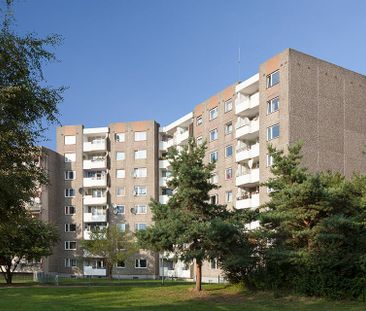 Stop: 3- Zimmerwohnung direkt am Sahlkampmarkt - Photo 4