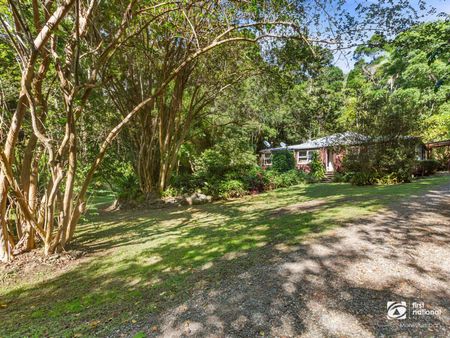 205 Ripps Road, 2484, Stokers Siding Nsw - Photo 5