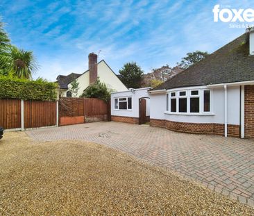 1 bed bungalow to rent in Golf Links Road, Ferndown, BH22 - Photo 3