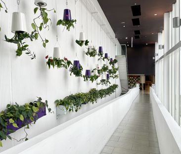 Unit 1224, 10 Waterloo Quadrant, City Centre (Auckland City), Auckland - Photo 3