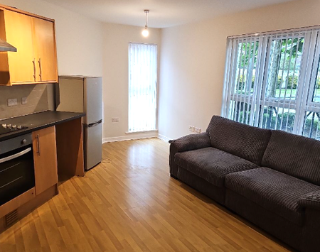 Golders Green, Liverpool, L7 - Photo 2