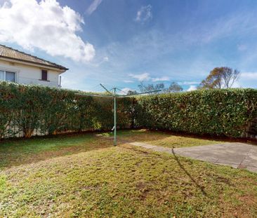 50 Nevill Street, Mayfield NSW 2304 - Photo 3