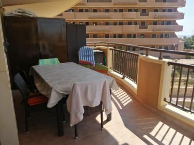 Apartment - Arenales del sol - Photo 3