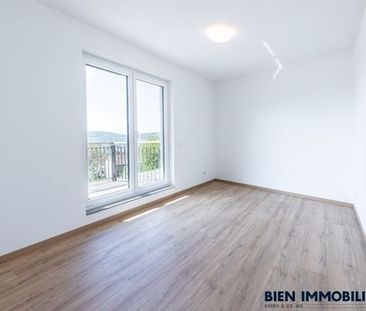 Schöne Penthouse-Wohnung mit Fernblick - Photo 2