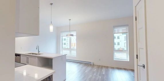 36 Rue Marjorie-D.-Shackleton (Hull) TOUT INCLUS - Magnifique Logement 2 Chambres Plateau À Voir Absolument! - Photo 2