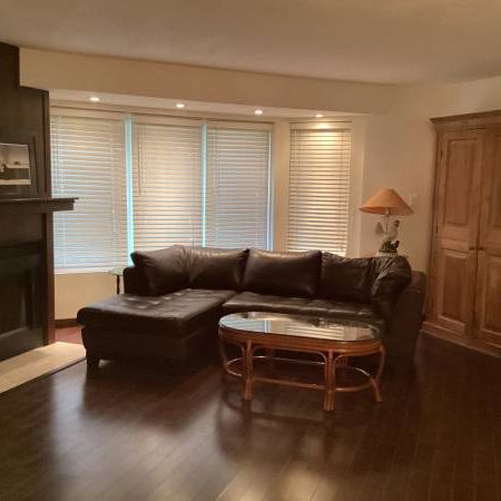 Toronto Furnished Condo Rental– Lovely 1 Bed 1 Bath Suite with Balcony - Photo 1