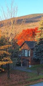 Appartement 4 1/2 MEUBLE St Ferreol les Neiges à louer - Photo 4