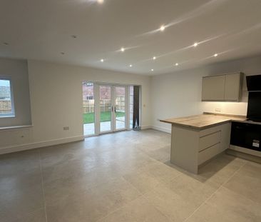 White Horse Drive - Photo 4