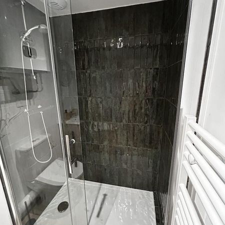 location Appartement T1 DE 24.66m² À TOULOUSE - Photo 4