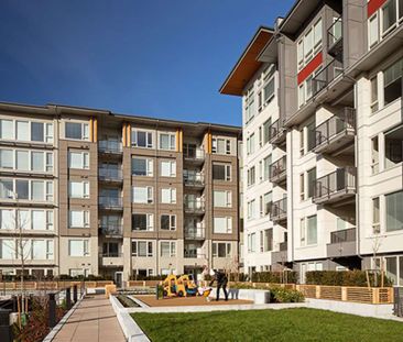 Fraser Flats Apartments - 1 Bedroom - Photo 6