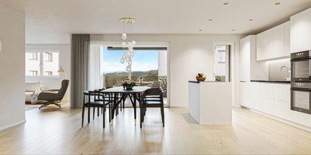 The last 2 4,5 rooms in the formula Rent – Buy Vulliama - Photo 2