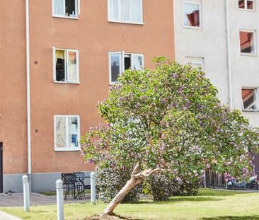 Gröna gatan 23 A - Photo 3