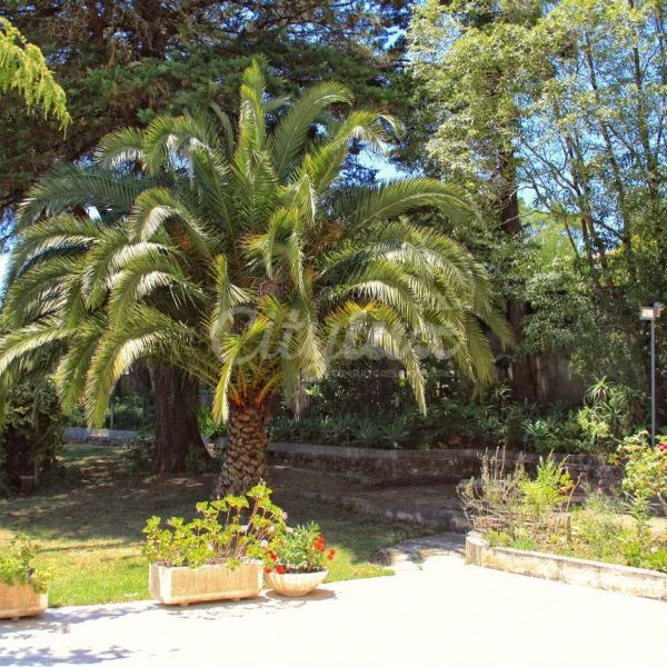 Moradia T6 em Lisboa - Photo 1