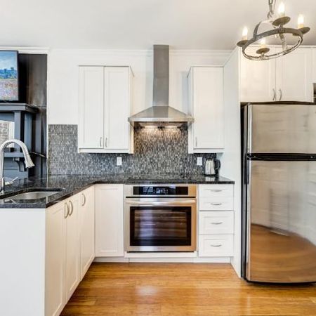 2 1/2 - Montréal (Le Plateau Mont-Royal) - 1 390 $/mois - Photo 3
