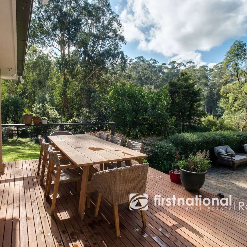 47 Arbor Avenue, Belgrave VIC 3160 - House For Rent | Domain - Photo 1