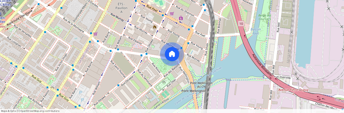 175 Rue de la Montagne, Montréal (Le Sud-Ouest), QC H3C
