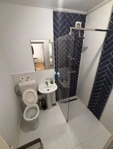 Inchiriere Apartament 3 Camere Decomandat Emil Racovita - Photo 4