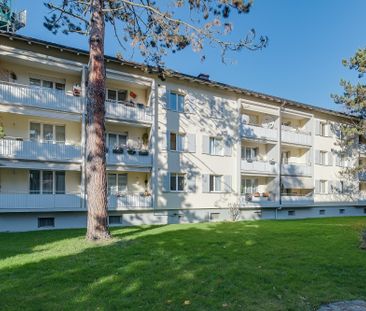 Ruhig gelegen und gut angebunden Ihr neues Zuhause - Photo 5