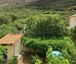 Μονοκατοικία για ενοικίαση - Καστέλλι, - Photo 6