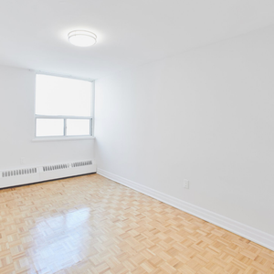 2BD - FULLY RENOVATED - 10 Teesdale Place - Photo 2