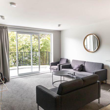 Brand new Studio Rooms on Malvern Street - Available for 2026 - Photo 4