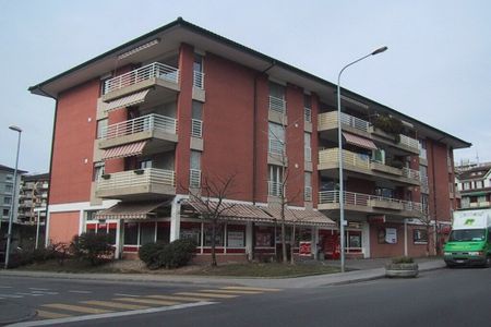 Nice 4-room apartment near the lake refurbished for rent - Foto 2