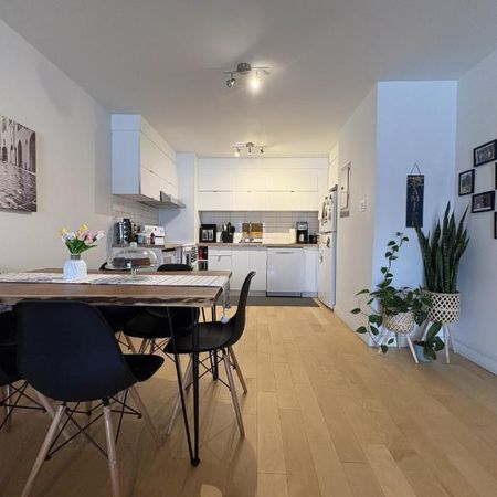 Appartement 4 ½ à louer Sainte-Foy / Sillery juillet 2026 - Photo 4