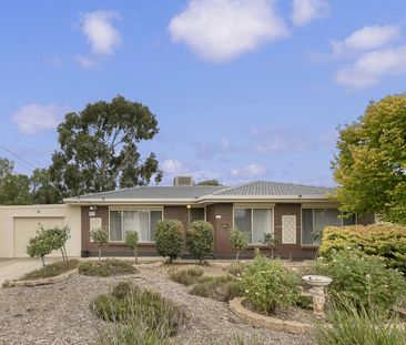Spacious Family Home in Salisbury Park - Photo 2