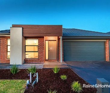 Stunning 4 Bedroom House in Cranbourne East! - Photo 4