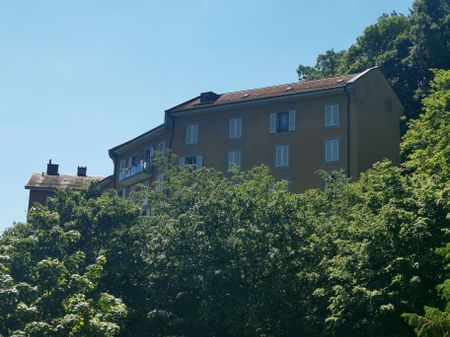 Chemin de Montmeillan 8, 1005, Lausanne - Foto 3