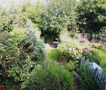 3 Bedroom Terraced To Let - Photo 6