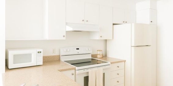 Studio - Montréal - $1,015 /mo - Photo 3