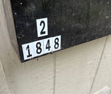 Newly Renovated in Lower Mission - Photo 6