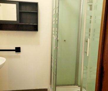 Appartement 1 pièce à Nancy - Photo 3