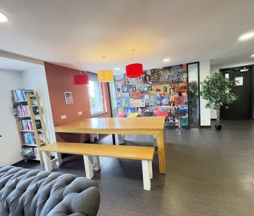 Platinum Studio Plus Accessible - Photo 5