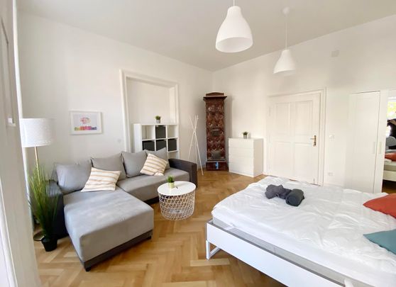 Große Neugasse Top 8 Zimmer 1 - Photo 1